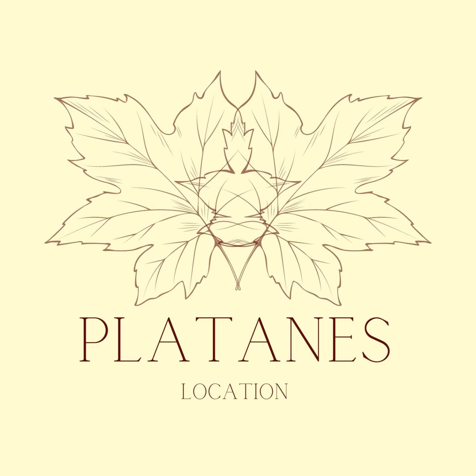 Hotel Platanes - Kb Hotel Group Etauliers ภายนอก รูปภาพ